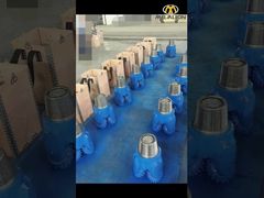 트라이콘 비트 배치